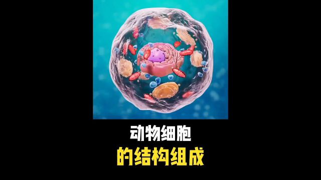 细胞的主要结构组成#一起来探秘科学世界