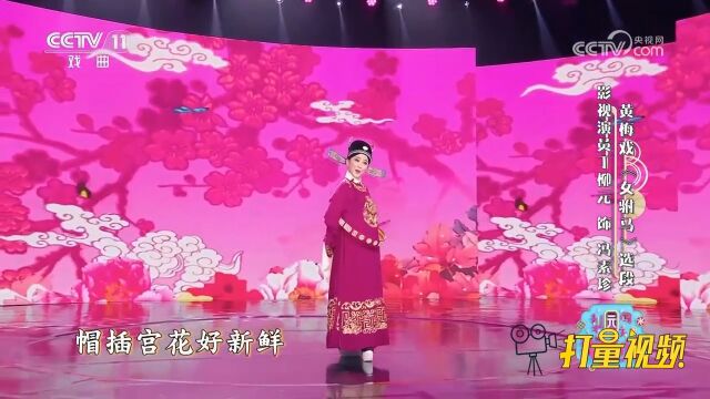 丁柳元表演《女驸马》选段,为救李郎离家园,谁料皇榜中状元