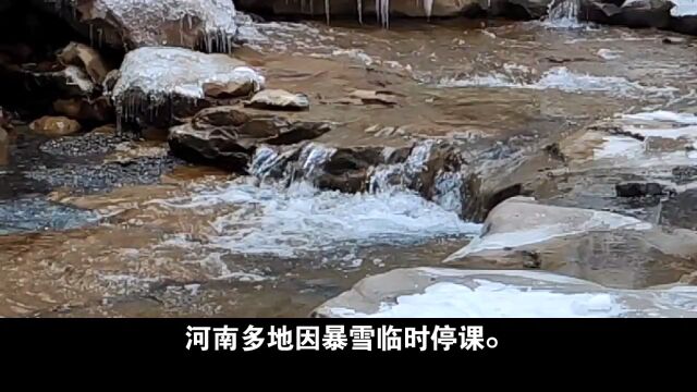 #大河报河南 #河南多地因暴雪临时停课 河南暴雪来袭!学校紧急停课,为师生安全保驾护航 #极端天气