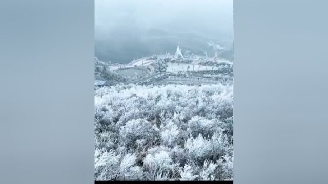 一树银花,满目雪白,2023南昌洗药湖雾凇如期而至!,满目雪白,2023南昌洗药湖雾凇如期而至!