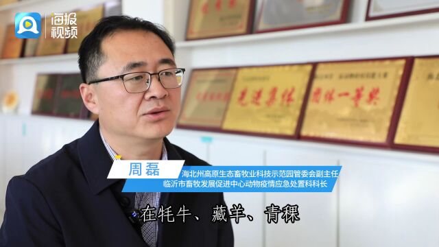 援青看山东丨盐湖取“宝” 科技援青助力农牧产业发展