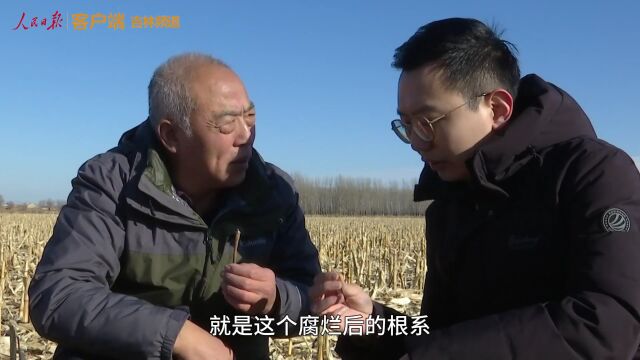 观长白 | 黑土地也有"衣食住行"!!!梨树模式总结得咋样?推广得如何?