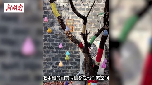 惊喜!这些大学生给校园的树“穿”上了“毛衣”