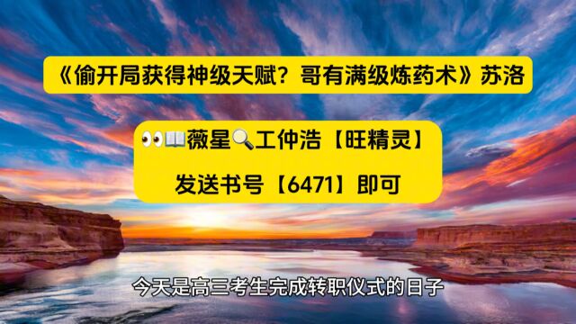 《偷开局获得神级天赋?哥有满级炼药术》苏洛全文在线阅读◇无弹窗