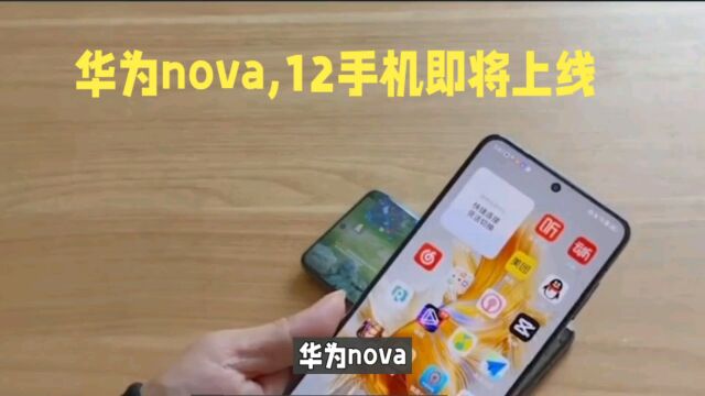 华为nova 12手机即将上线,亮点抢先看