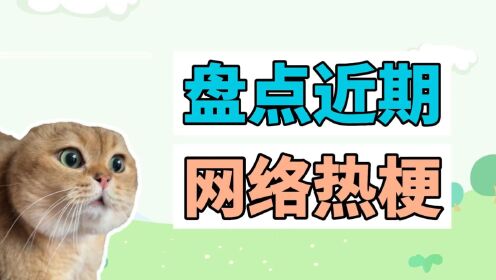 《网络热梗》第206集：对话小猫、宣_高清1080P在线观看平台_腾讯视频