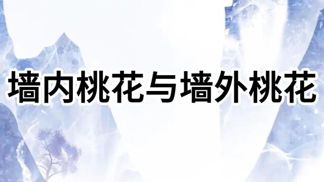 四柱八字中分墙内桃花与墙外桃花