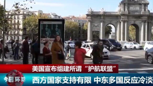 美国组建所谓“护航联盟”,西方国家支持有限,中东多国反应冷淡