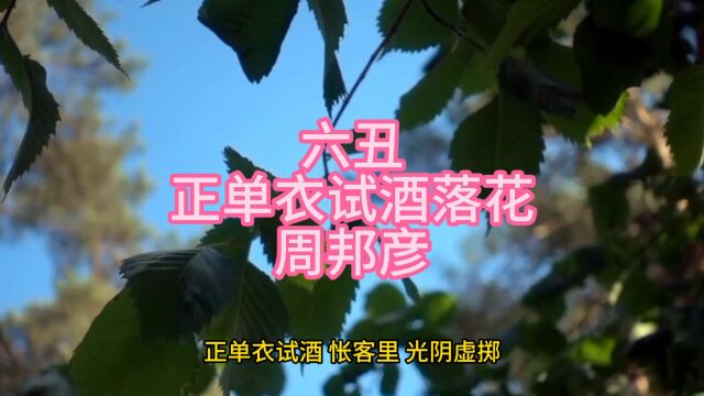 六丑正单衣试酒落花周邦彦