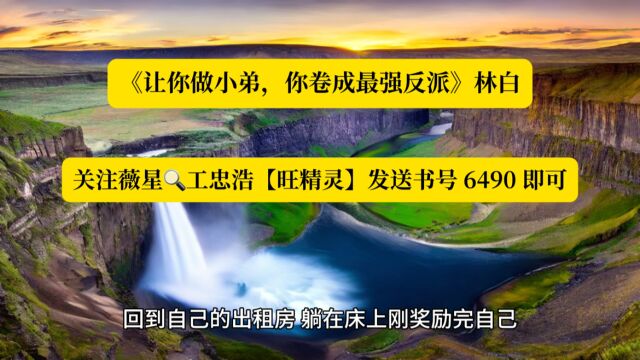 《让你做小弟,你卷成最强反派》林白全文TXT阅读◇完整版