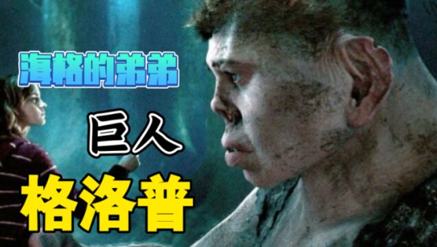 【哈利波特】霍格沃茨保护神奇动物课——格洛普