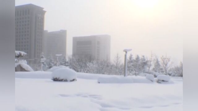 山东威海,持续降雪天气,局地积雪深度达74厘米