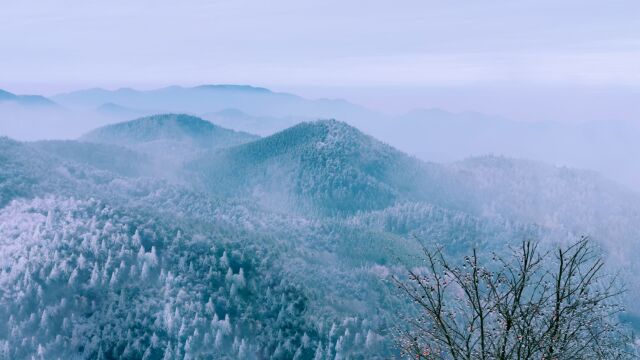 景宁敕木山雾凇胜景震撼世界!