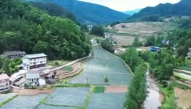 浙川协作:跨越山海,打通致富新通路