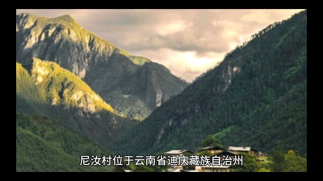 云南小众旅游推荐——尼汝村