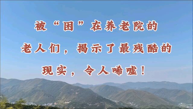 被“困”在养老院的老人们,揭示了最残酷的现实,令人唏嘘.