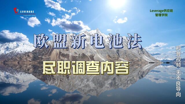 新电池法规对供应链尽职调查提出新要求,什么是供应链尽职调查?