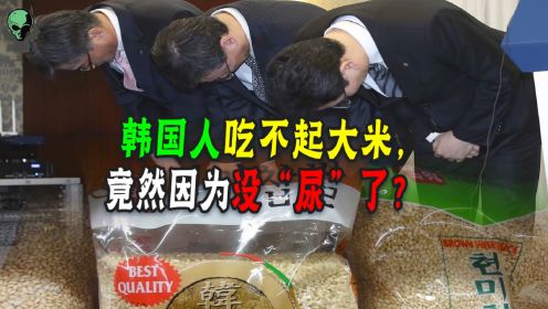 韩国真倒霉！海鲜被日本核废水污染！现在连米都要从中国走私！