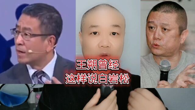 王朔曾经:这样说白岩松!