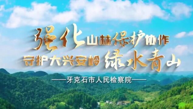 一院一亮点 | 牙克石市检察院:强化山林保护协作 守护大兴安岭绿水青山