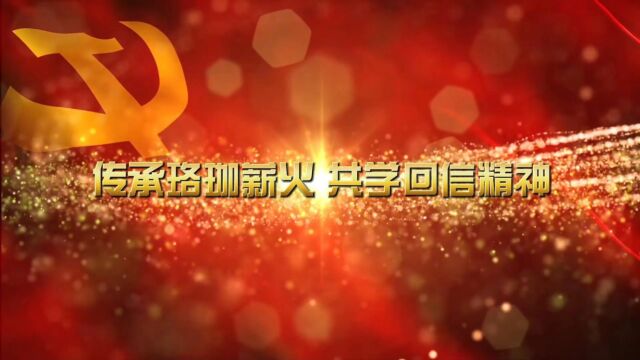 “传承珞珈薪火,共学回信精神”武汉大学计算机学院智感实验室研究生党支部联学共建活动宣传视频