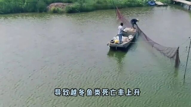 冬季水产养殖的注意事项!