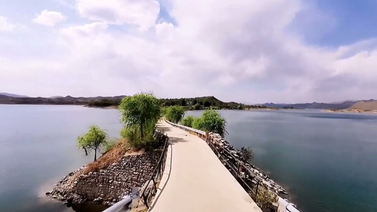 情歌推荐《甘心情愿爱着你》安东阳丶张怡诺