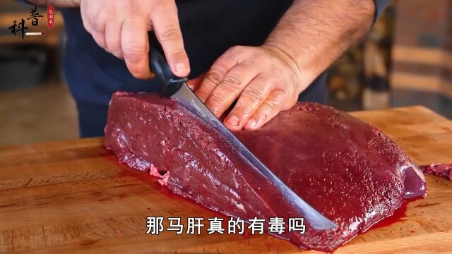 俗话说“吃肉不吃马肝”,马肝到底能不能吃?它真的有毒吗? 2