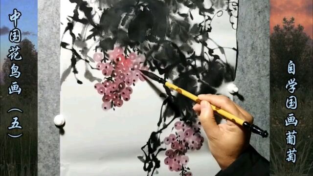 中国花鸟画(五),怎样画葡萄?