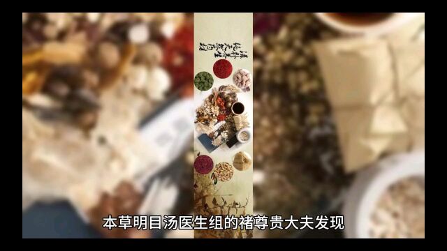 调理视神经萎缩经验方——本草明目汤