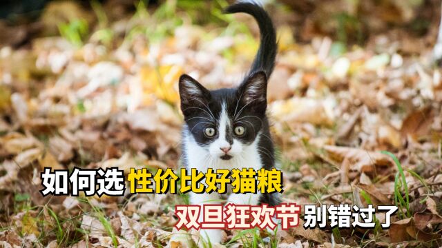 如何选性价比好猫粮,双旦狂欢节别错过了