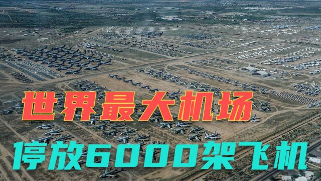 这里是世界最大机场 也是飞机的最后归宿 停放6000多架各种飞行器