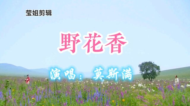 《野花香》演唱莫斯满,网络热门歌曲,旋律悠扬动听