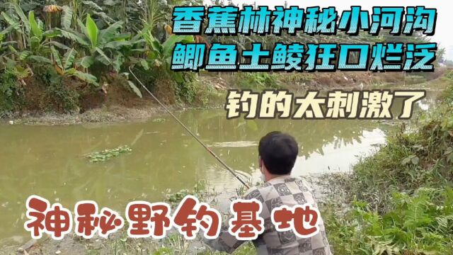 神秘野钓基地,鲫鱼土鲮高端密集简直无敌了,这种钓位好有底气