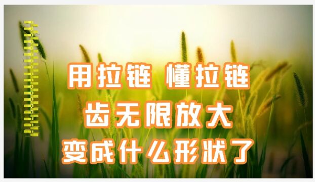 用拉链,懂拉链.你知道3号金属拉链齿放大后变成什么形状了吗?