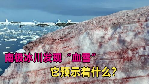 南极冰川发现“血雪”，科学家担心的事正在发生？“血雪”是什么