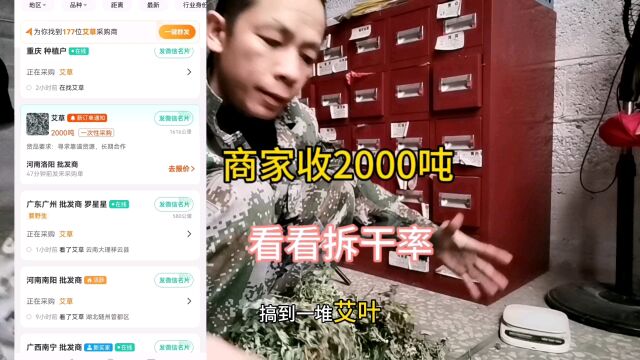 商家收2000吨艾叶,雄起搞一堆,看看拆干率