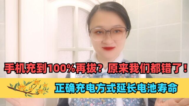 手机充到100%再拔?原来我们都错了!正确充电方式延长电池寿命