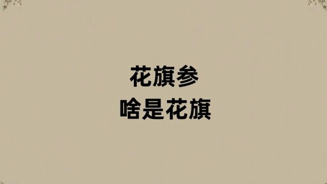 花旗参的花旗是啥?