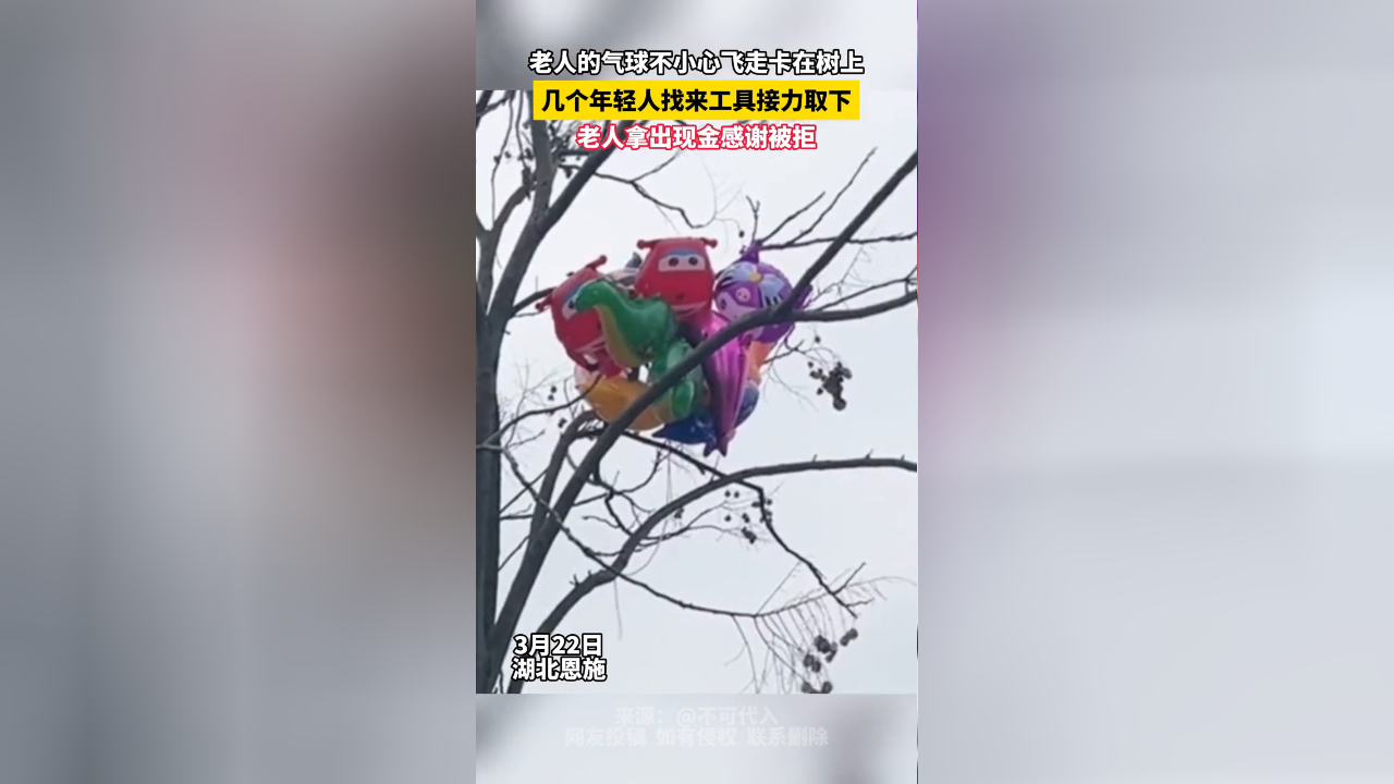 老人售卖的气球飞走卡在树上 几个年轻人找来工具接力取下
