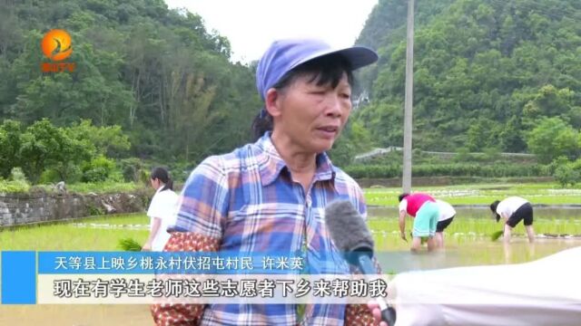 天等县上映乡桃永村伏招屯村民  许米英4月18日,天等县上映乡党委