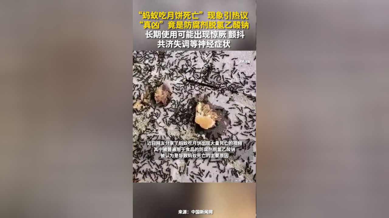 "蚂蚁吃月饼死亡"现象引热议,"真凶"竟是防腐剂脱氢乙酸钠