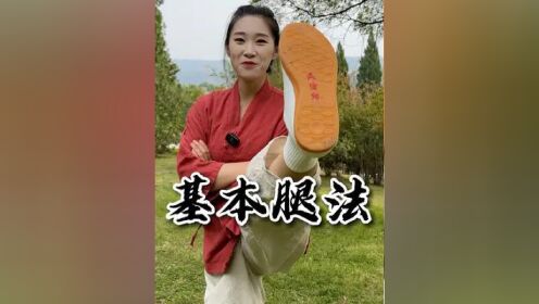 武术腿法中正踢腿要求（武术根本
功正踢腿侧踢腿教案）《武术正踢腿要领》