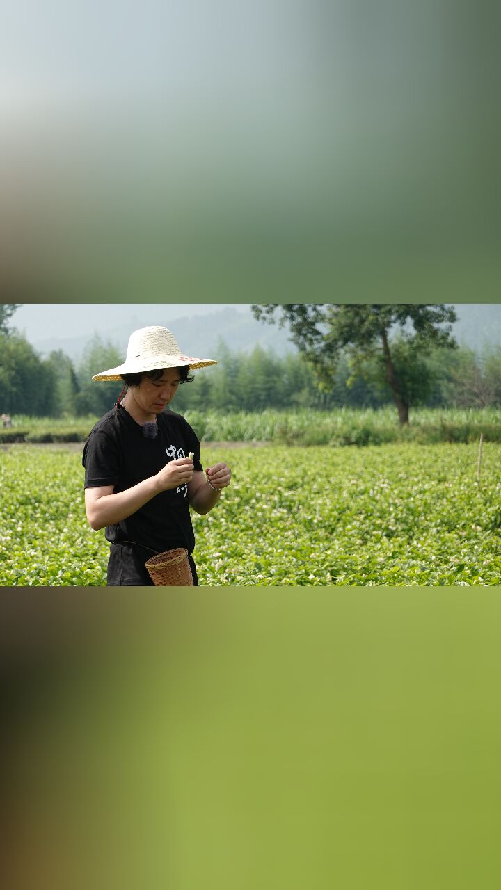 绝美风光·来让眼睛度个假
