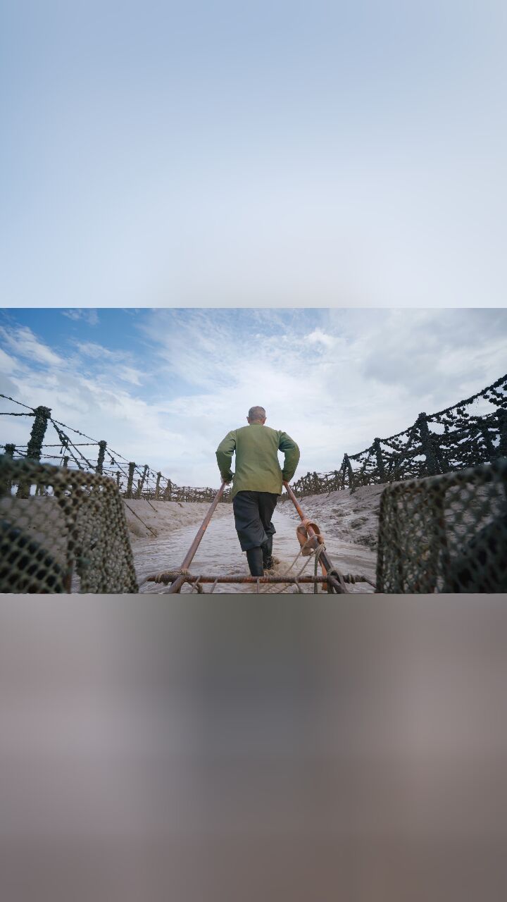 赶海→海边浪 才是真浪