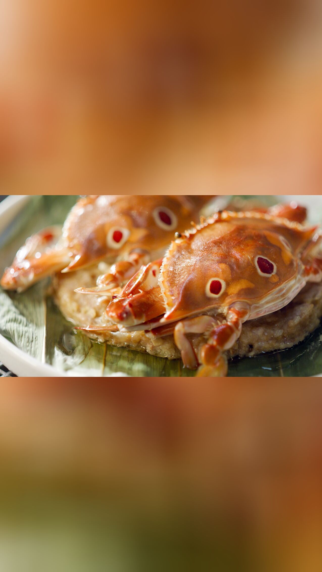风味欢乐谷·脑洞大开