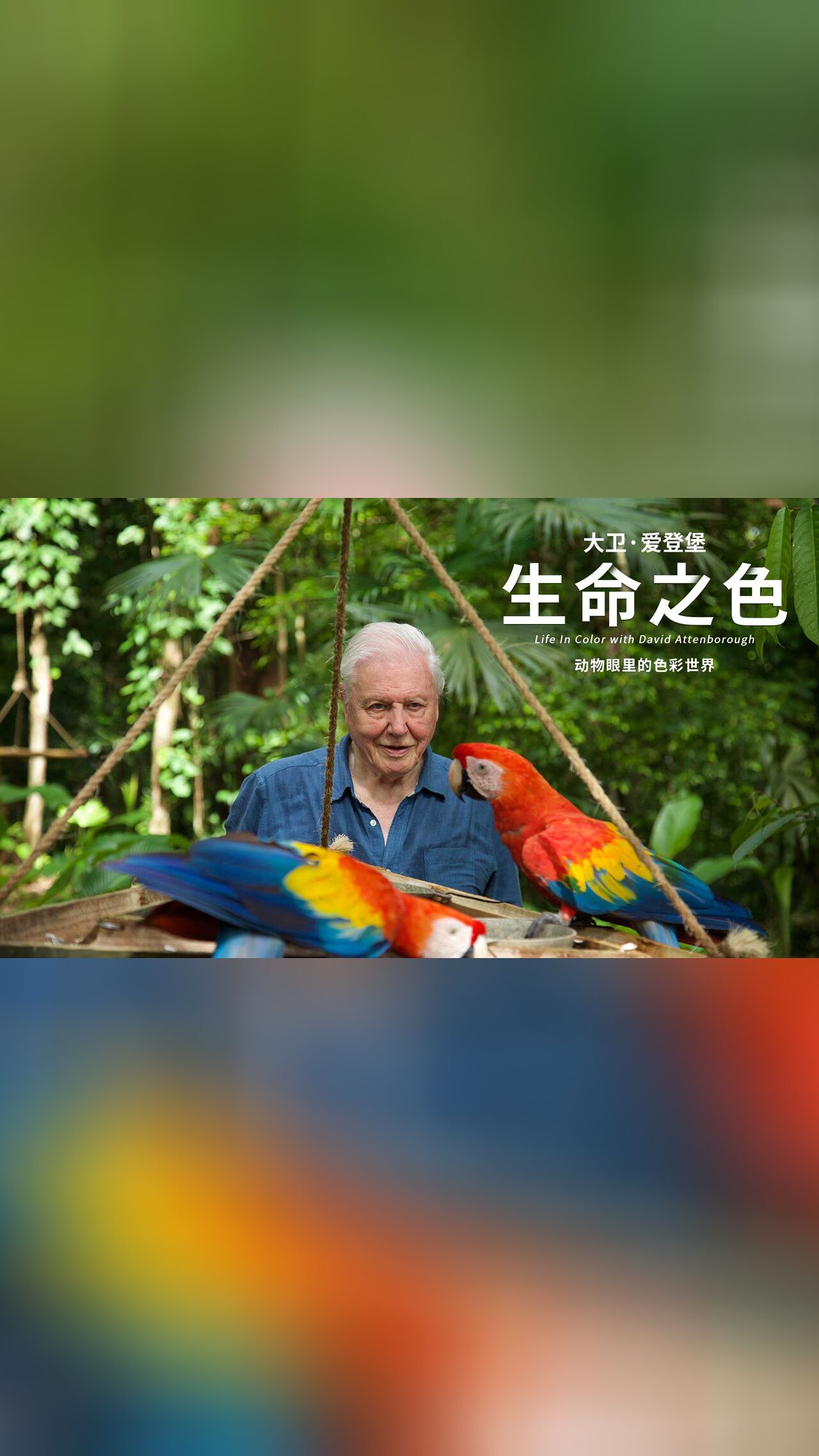 生命之色·精彩看点连连刷