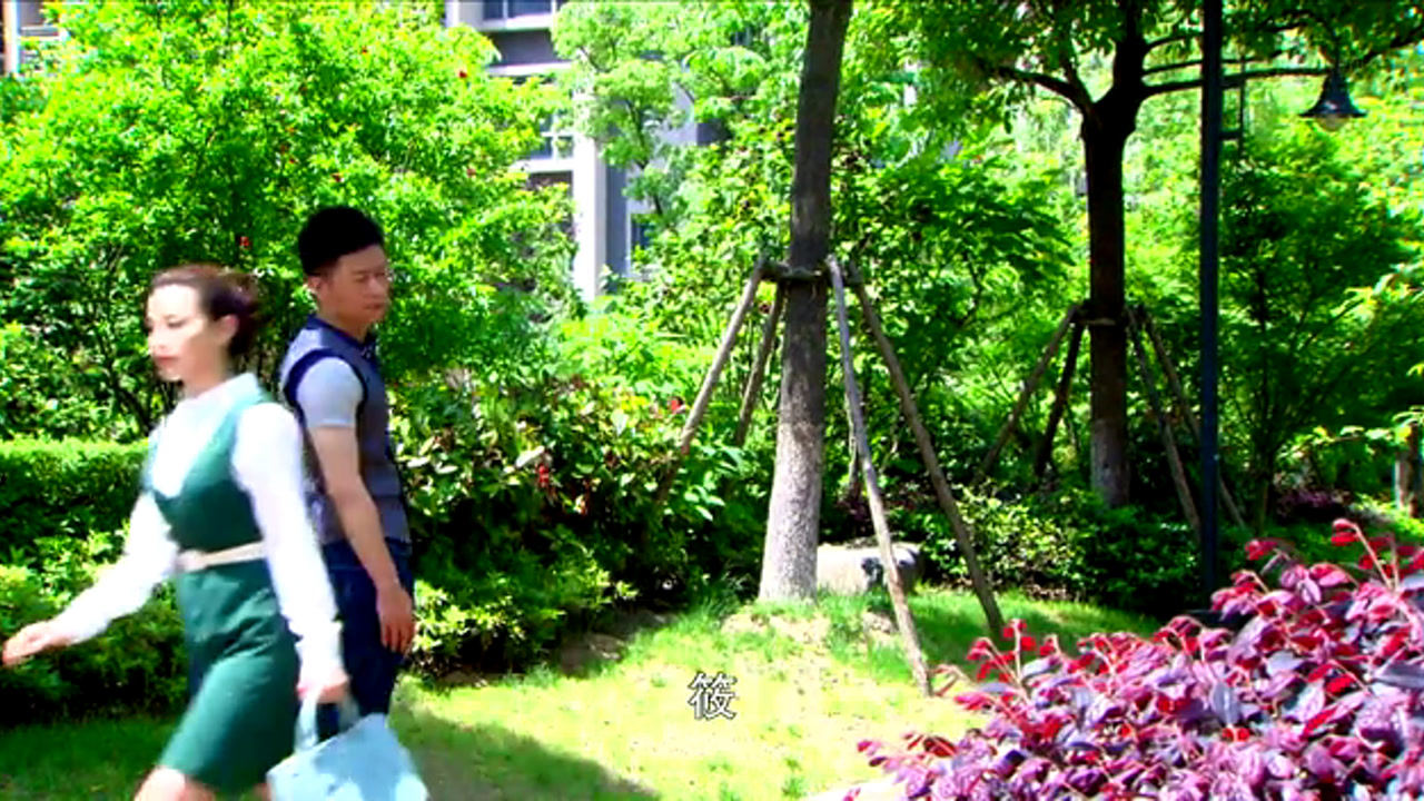 幸福媳妇成长记 12集