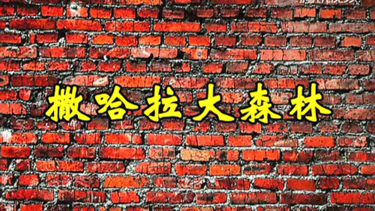 相声集锦 163集