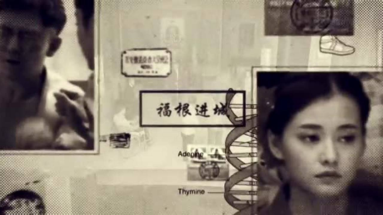 福根进城 16集